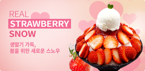 REAL STRAWBERRY SNOW 생딸기 가득, 봄을 위한 새로운 스노우