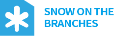 Snow On The Branches